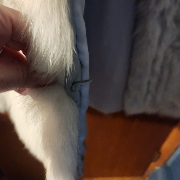 Elegant Cream Authentic Fox Fur Coat - Picture 11 of 15